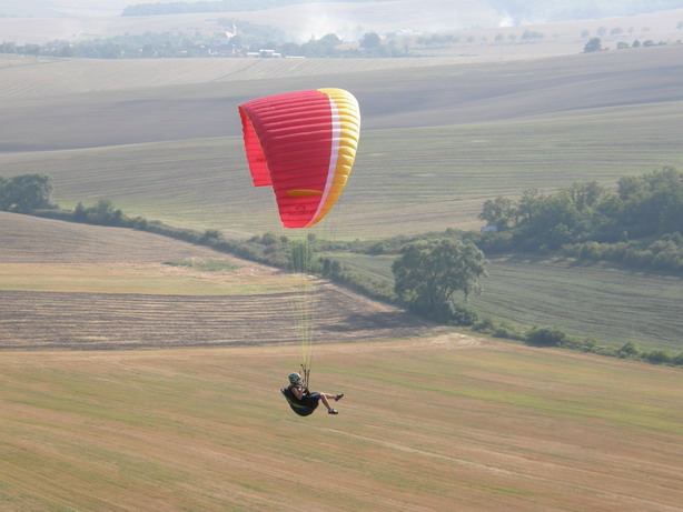 P8211047_resize.JPG